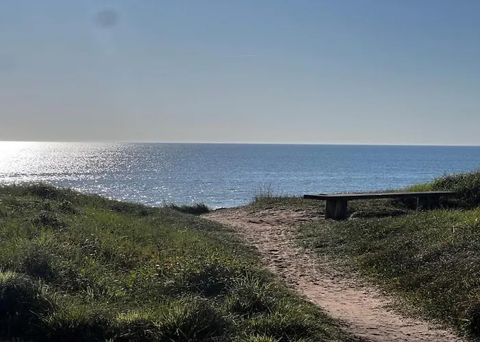 Apartment T2 Cosy, Piscine, Parking Et Front Les Sables-d'Olonne