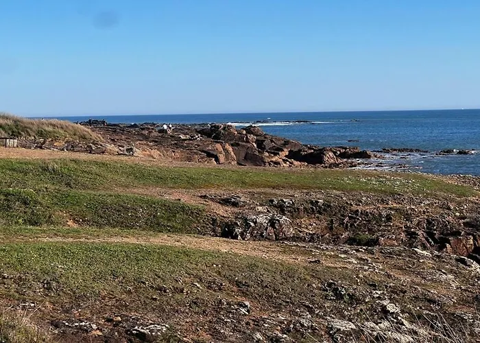 T2 Cosy, Piscine, Parking Et Front * Les Sables-dʼOlonne